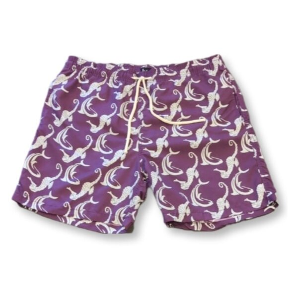 Roosevelt Del Mar Republic Swim Trunks Seahorse Dolphin Print - Picture 1 of 12